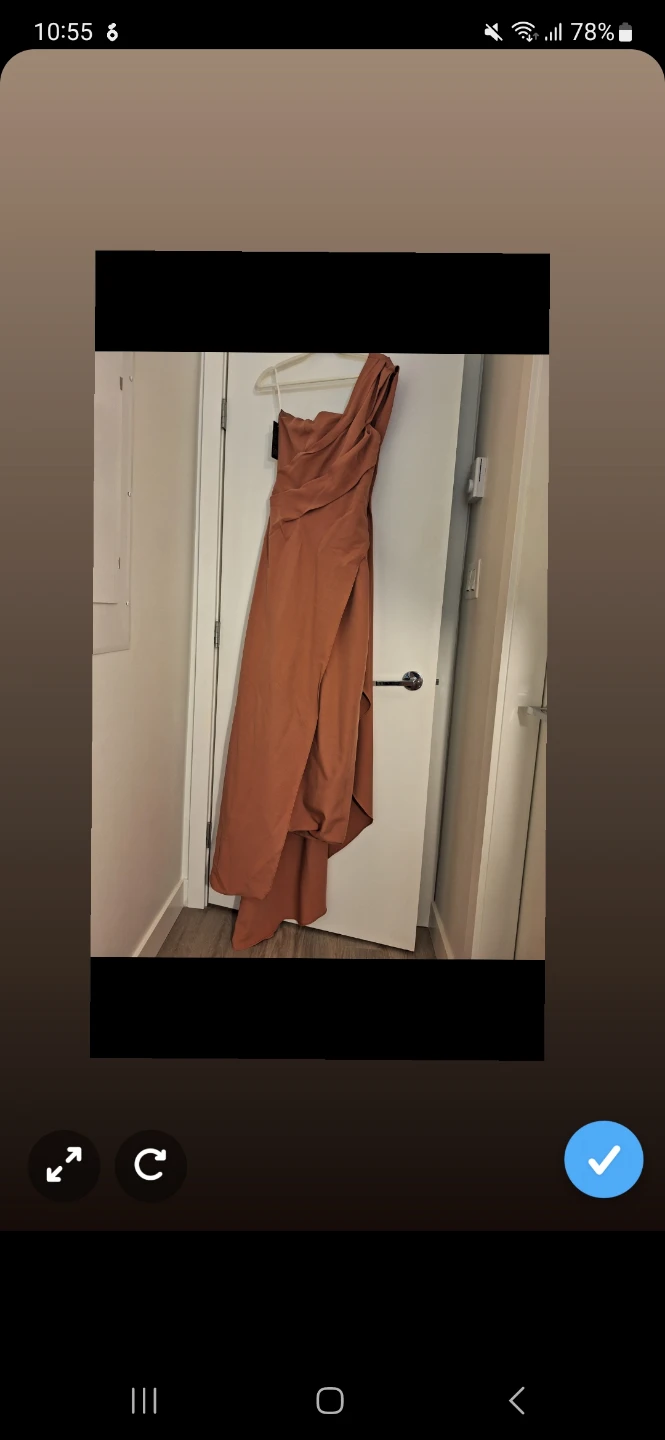 New with Tags Terracotta Bridesmaid Dress