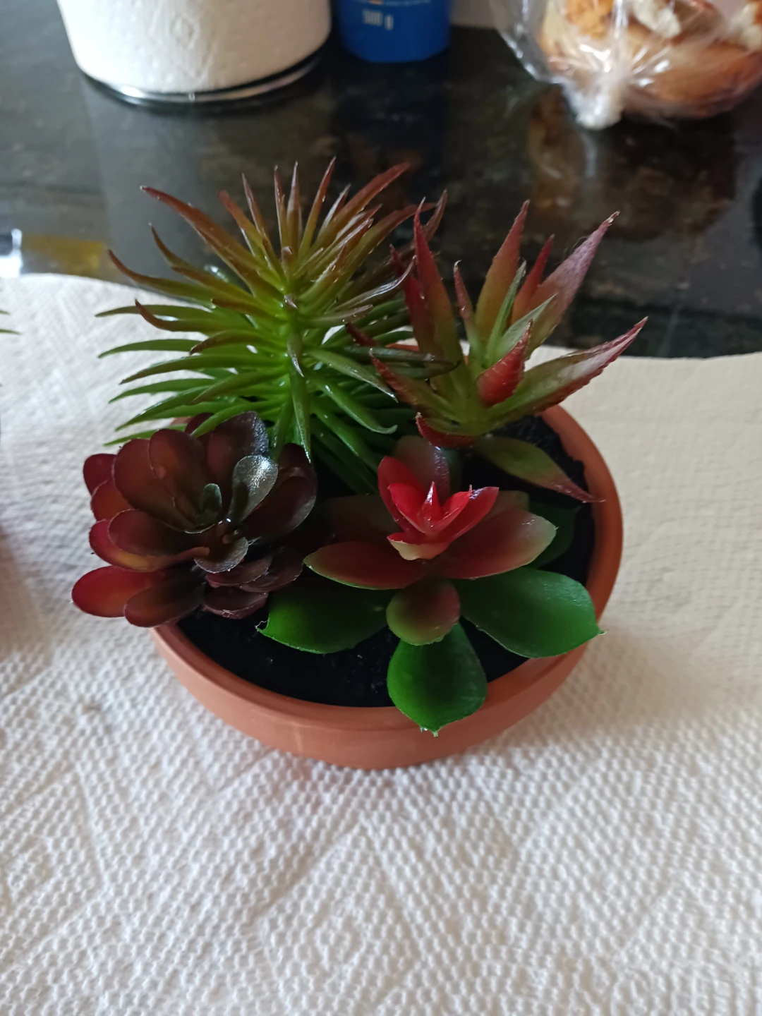 Artificial Succulent Plant Arrangement