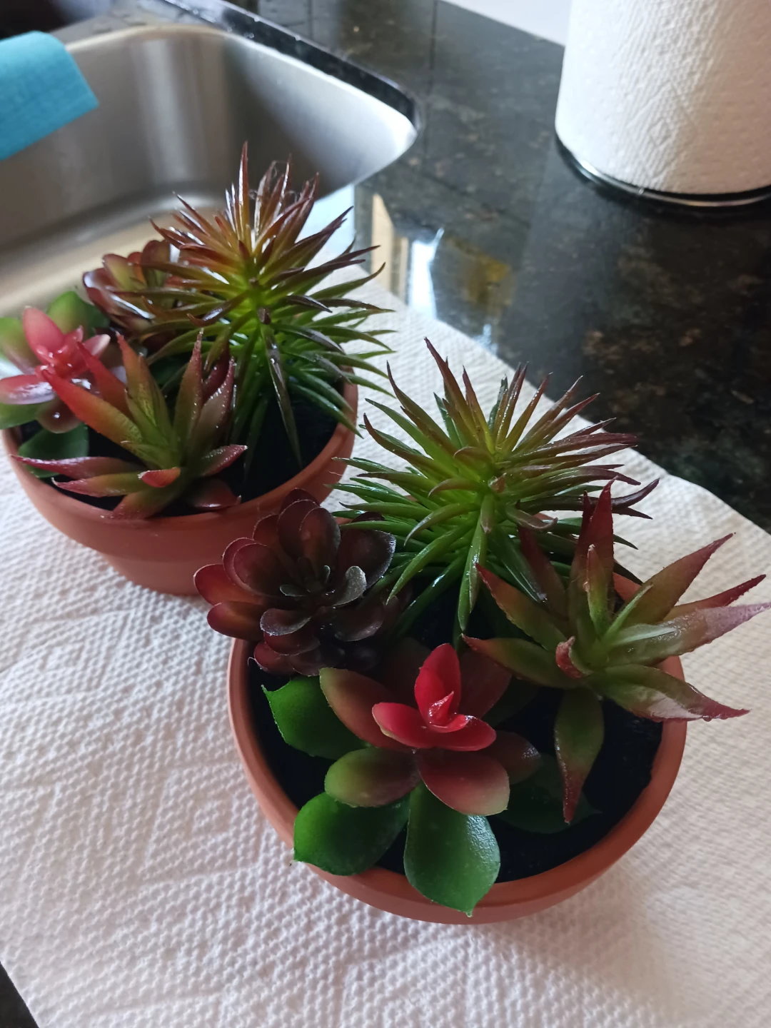 Artificial Succulent Plant Arrangement - photo 3