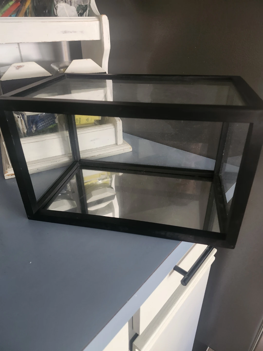 Glass Terrarium or Display Box - photo 4