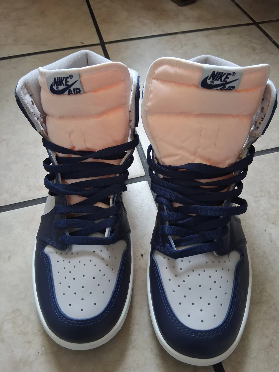 Nike Air Jordan 1 High Sneakers