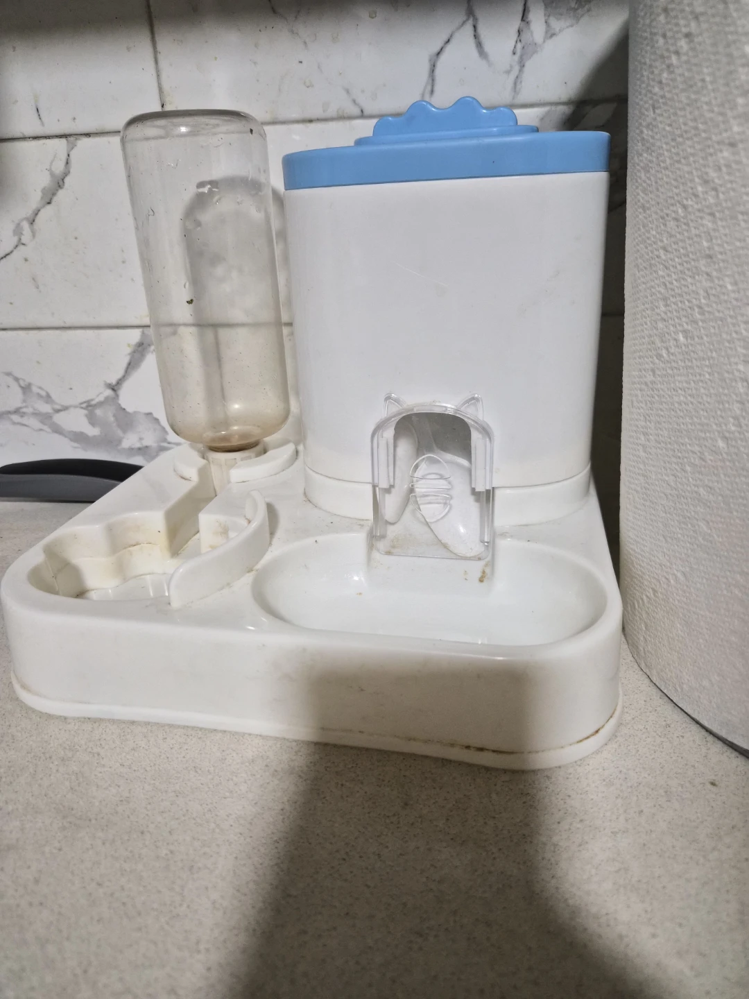 Automatic Pet Feeder