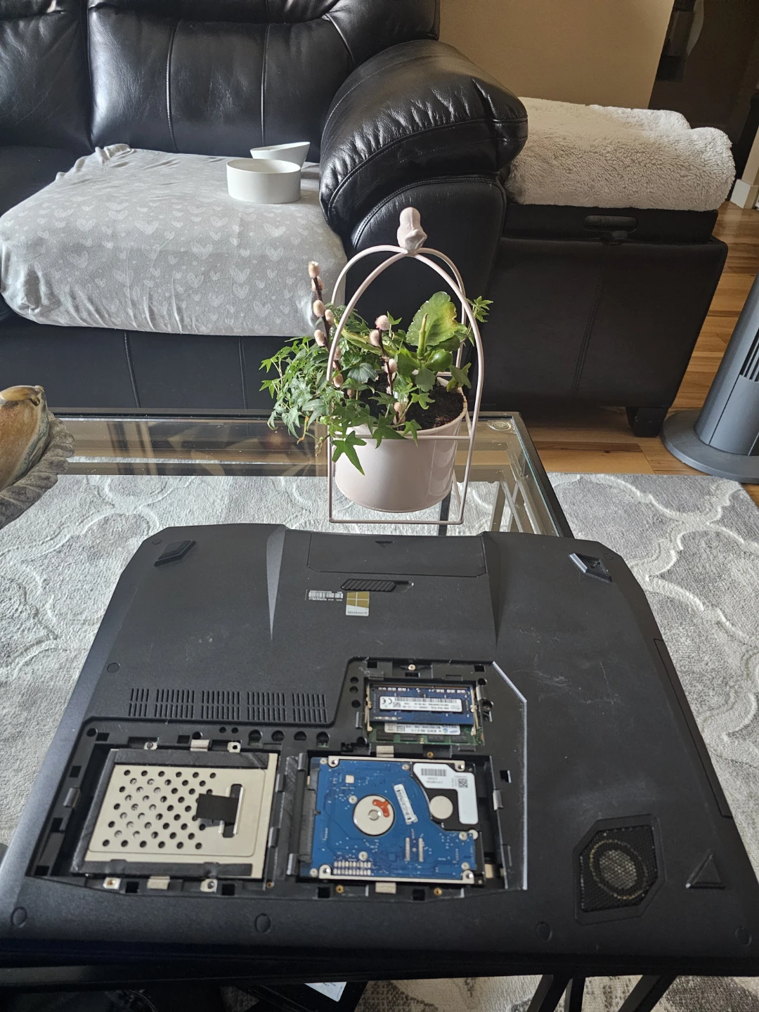 ASUS ROG G750JW Gaming Laptop - photo 4