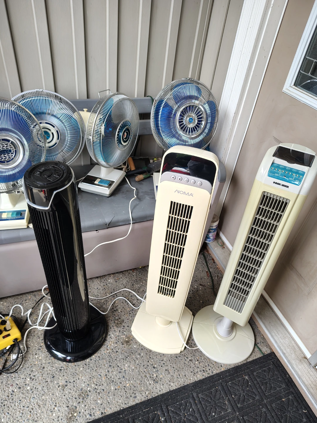 Fans Fans Fans - photo 2