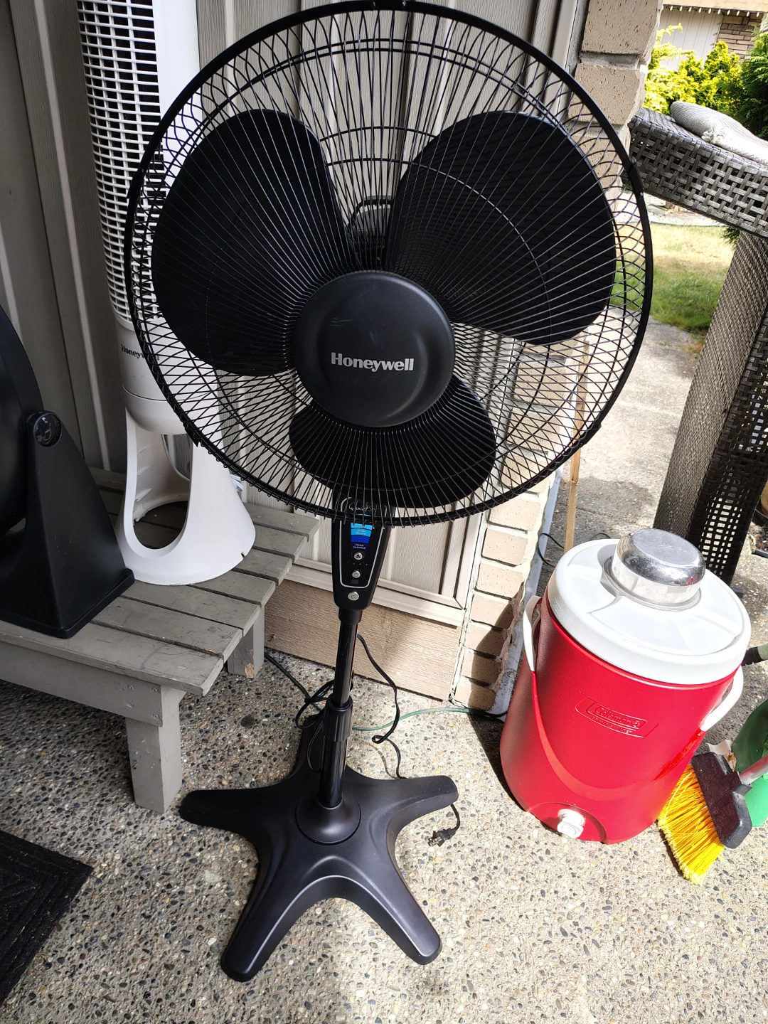 Fans Fans Fans - photo 5