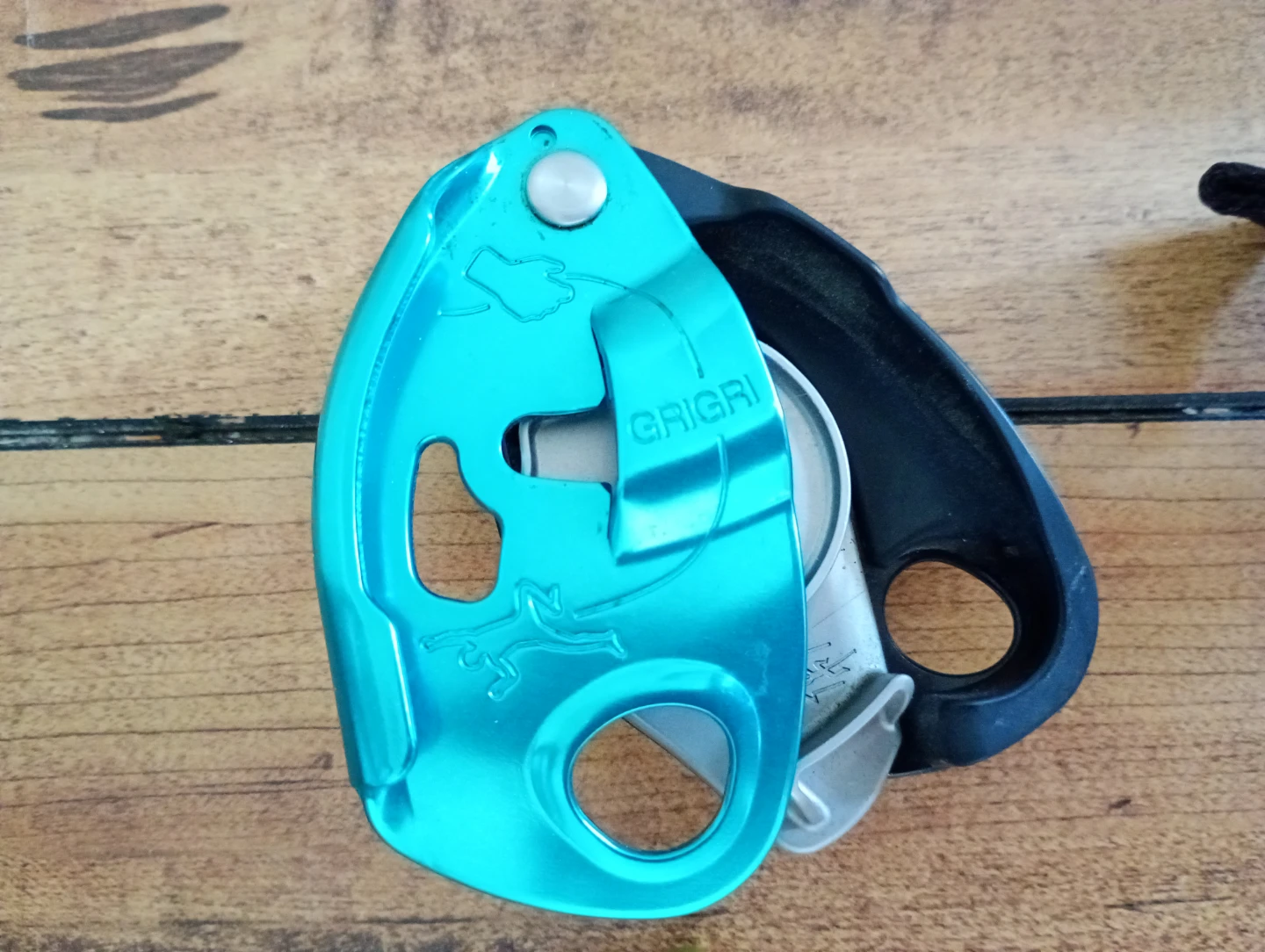 Petzl Grigri Rope Belay Device with abs and locking carbiner