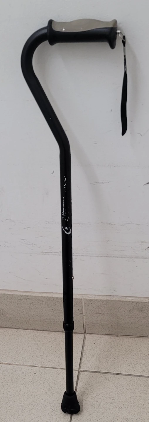 Adjustable Walking Cane - photo 2