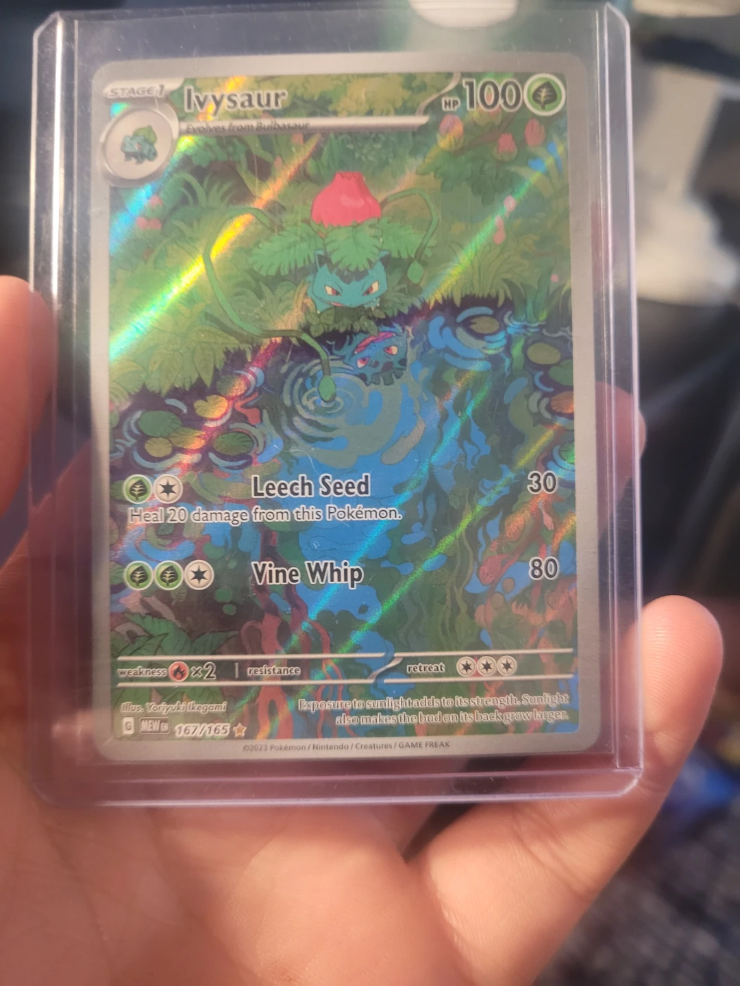 Pokémon Ivysaur Card 167/165