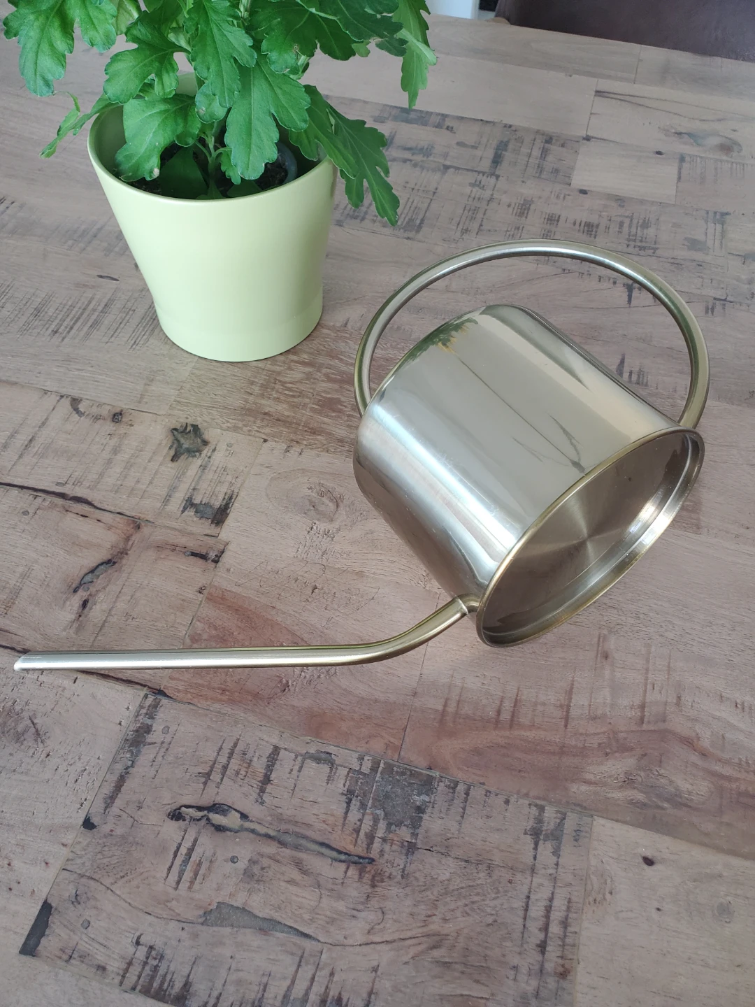 New - Rook & Rose Classic Watering Can - photo 3