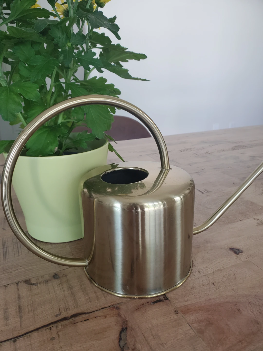 New - Rook & Rose Classic Watering Can - photo 4