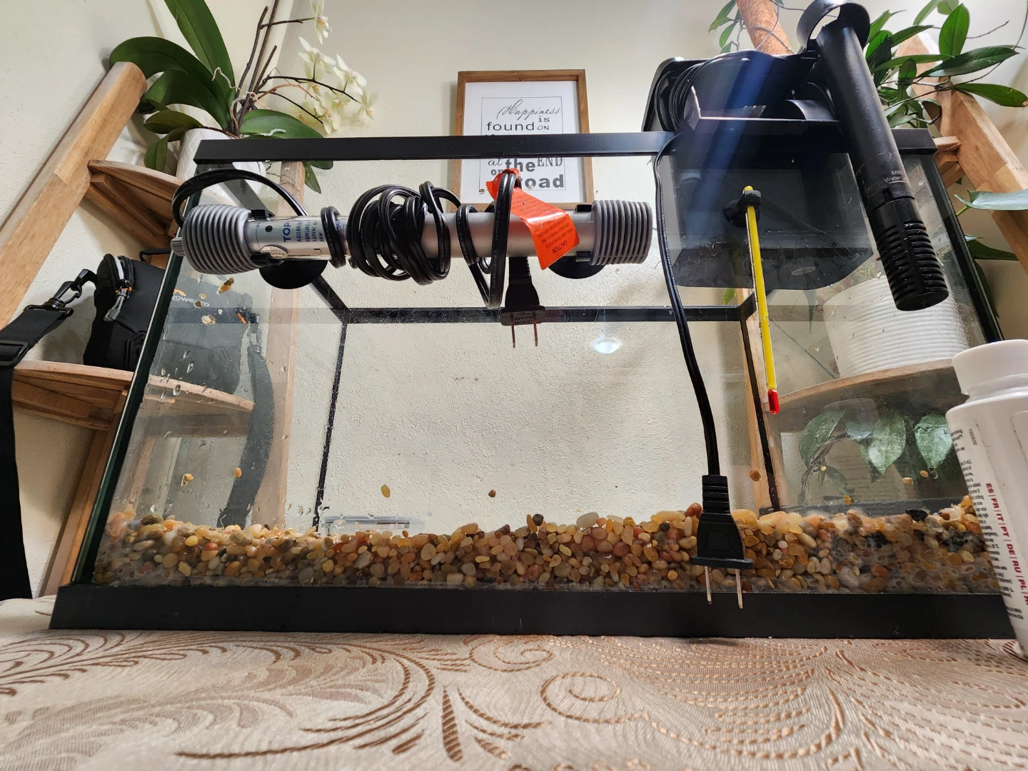 10 gal Aquarium moving sale - photo 3