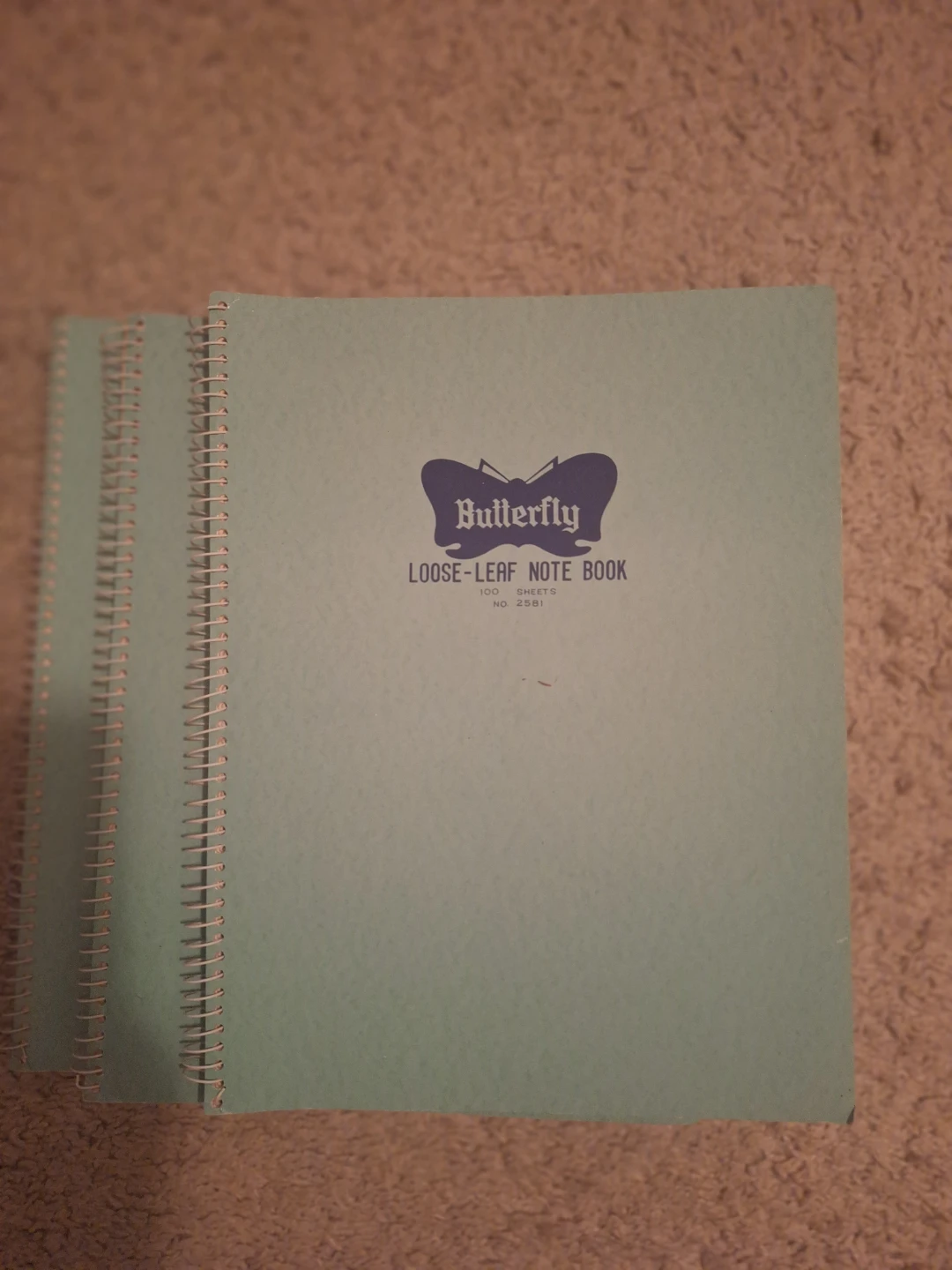Butterfly Loose-Leaf Note Book 100pages - $1 each