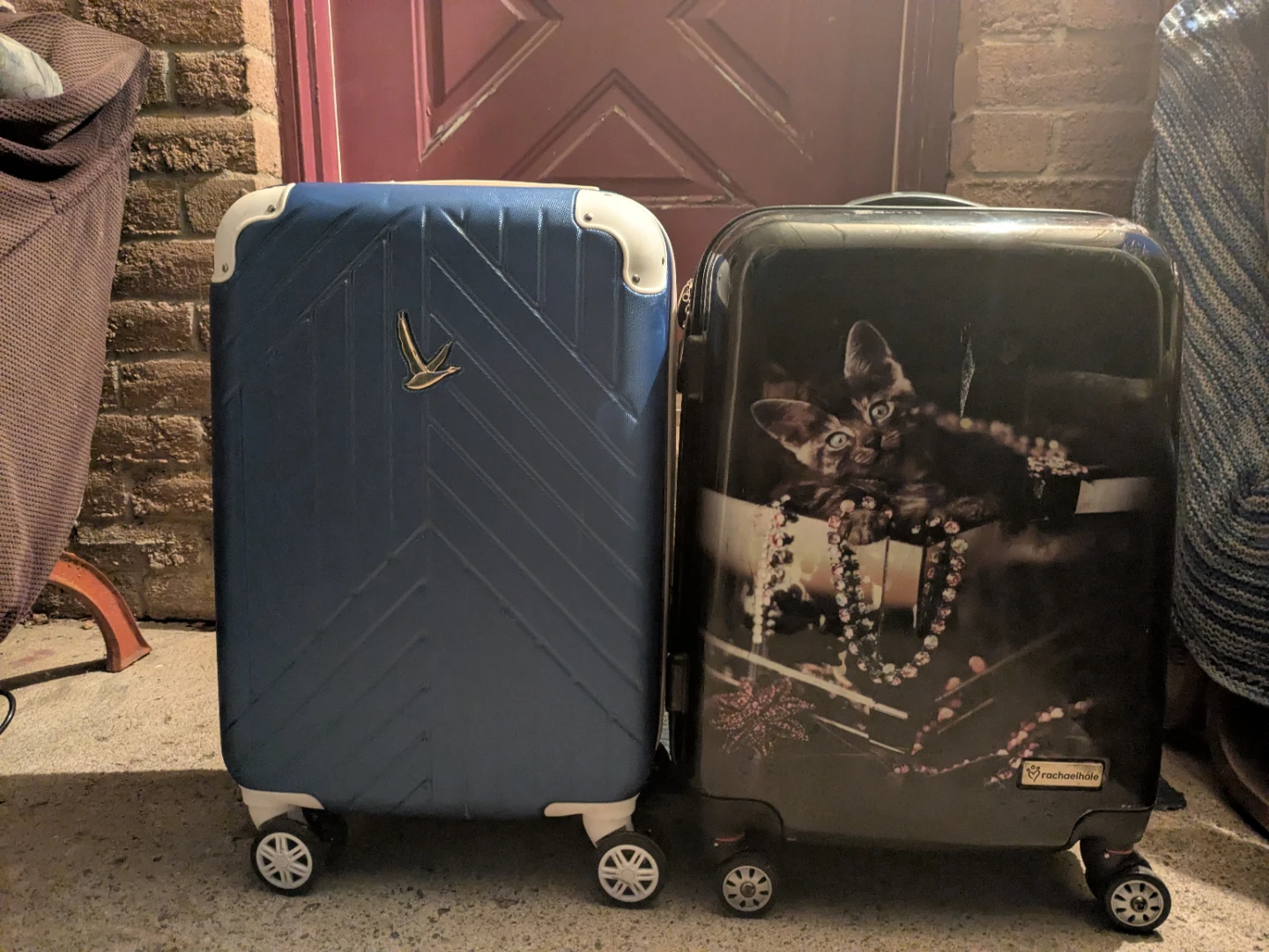 Set of 2 Carry-On Luggage - Blue & Cat Design