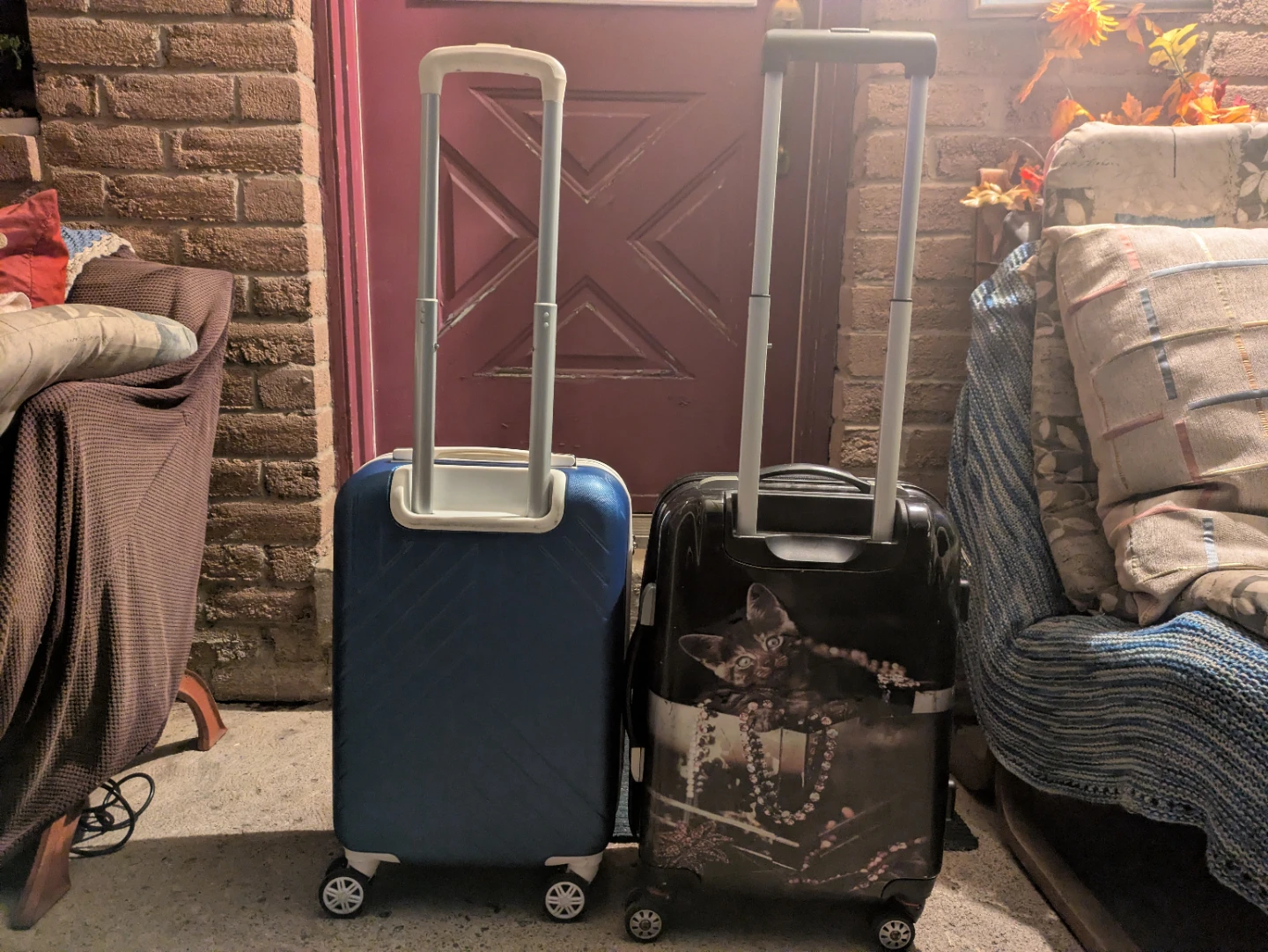 Set of 2 Carry-On Luggage - Blue & Cat Design - photo 2