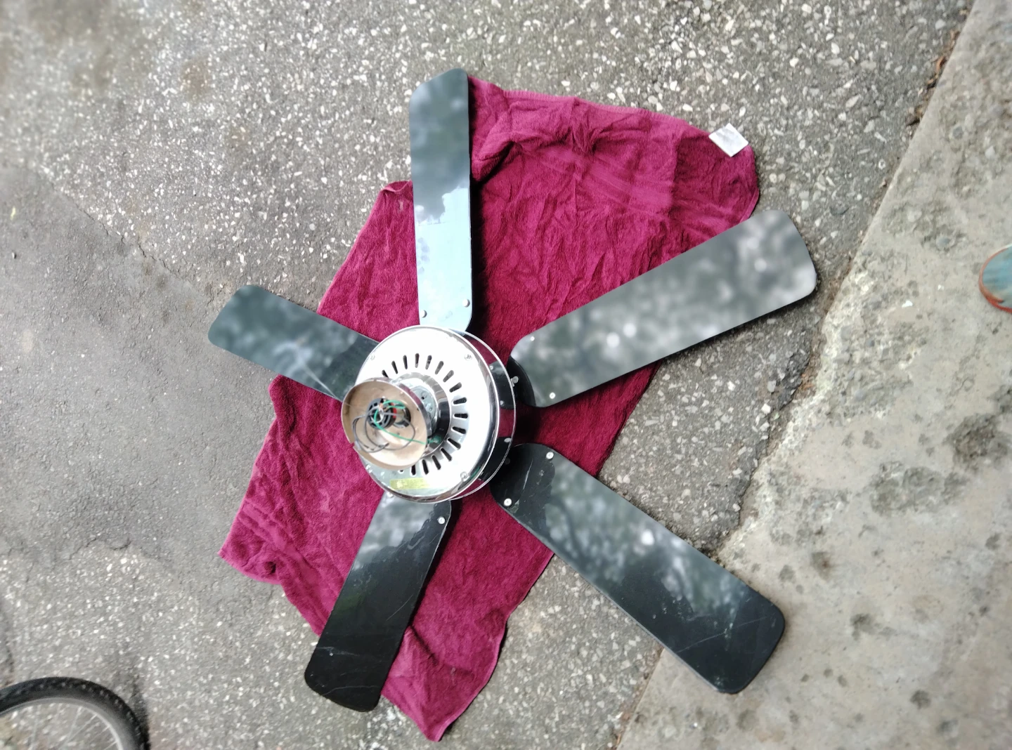 Ceiling Fan Blades and Motor Housing - photo 3