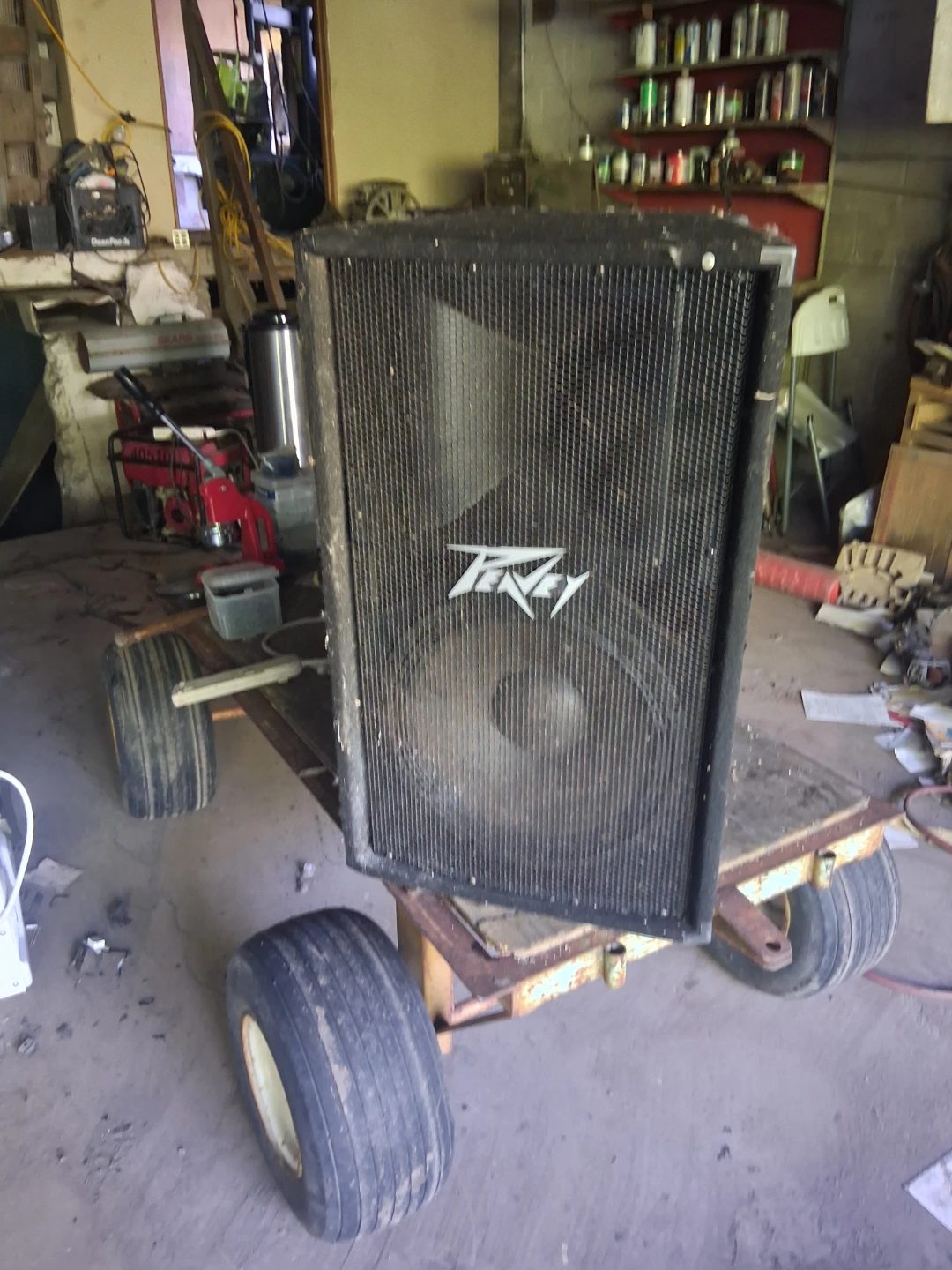 Peavey PV115 Speaker