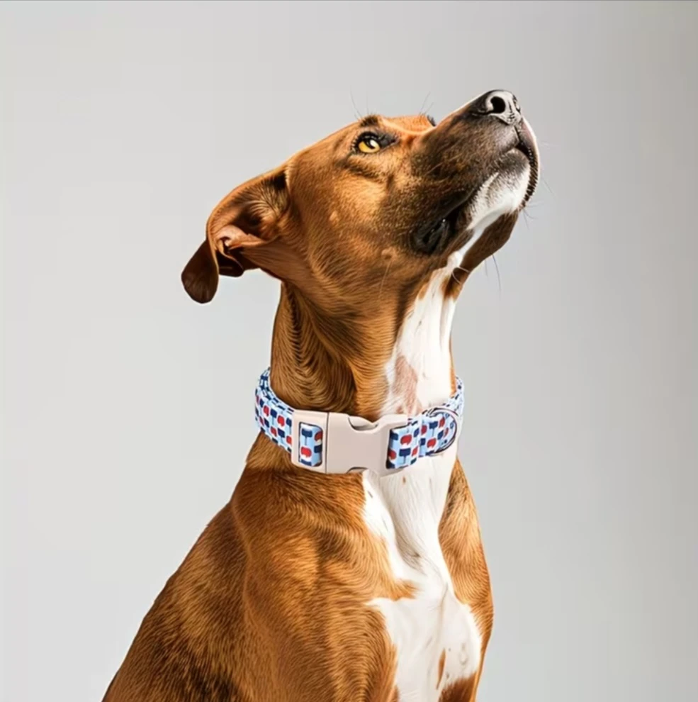 Adjustable Dog Collar - Ice Cream Pattern - Size M - photo 3
