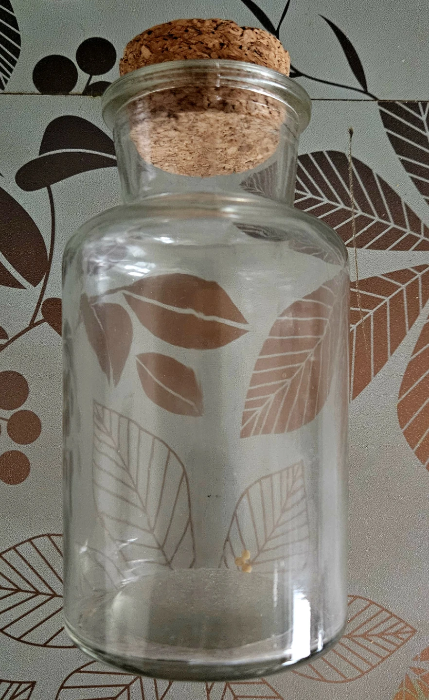 Clear glass jar with cork lid ✨️ #freecycle - photo 2