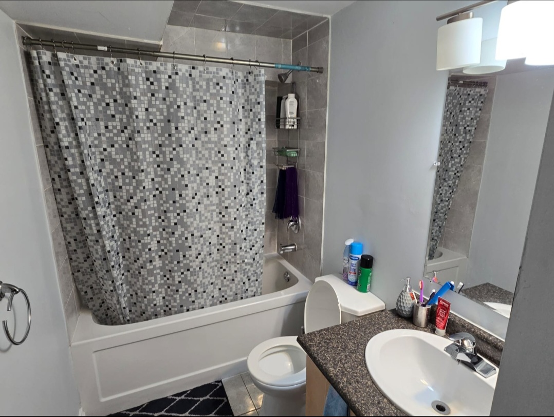 1 Bedroom Basement Apt in Brampton - photo 4