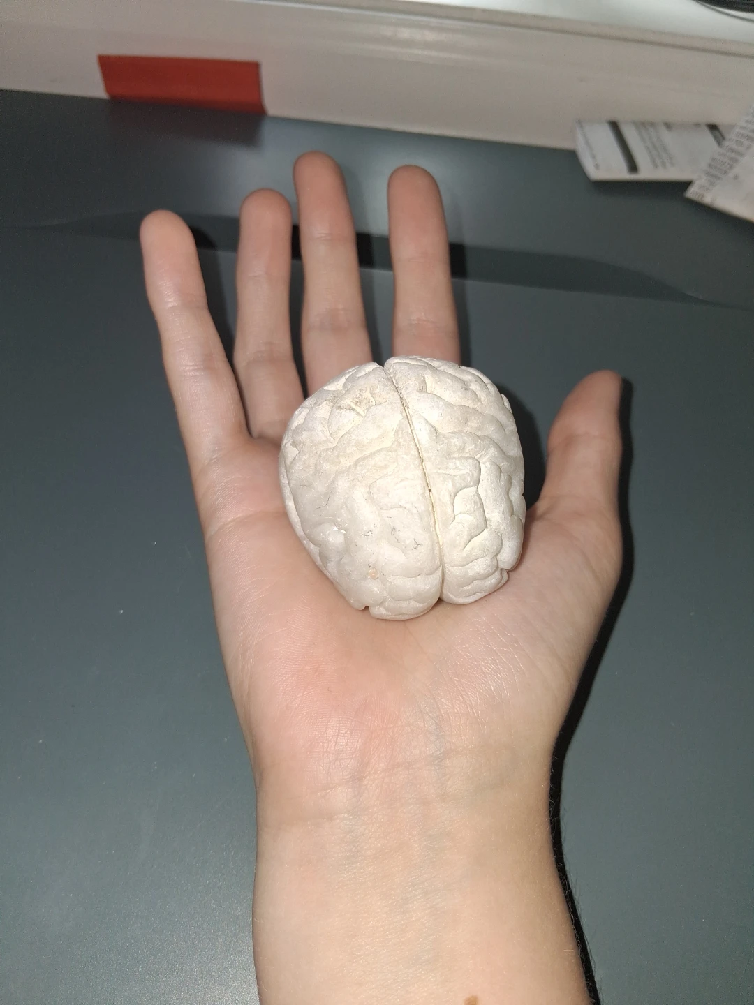 White Calcite Brain Crystal
