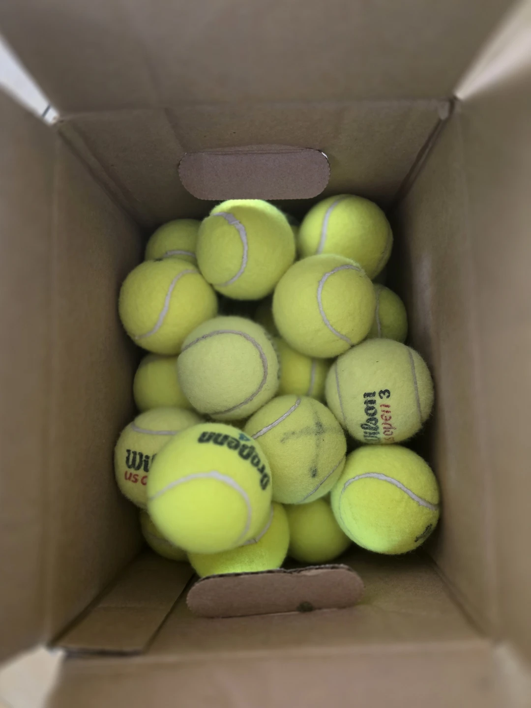 Wilson Championship Tennis Balls - 12 Pack