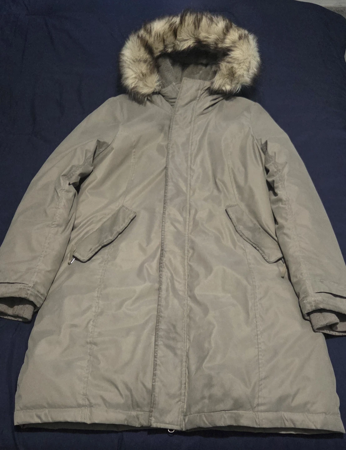 Aritzia parka