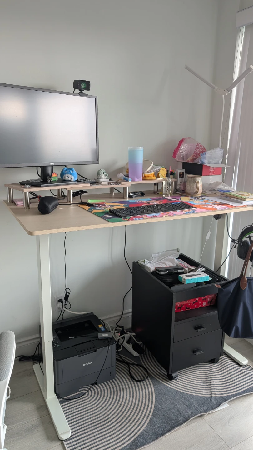 Adjustable Standing Desk (24"x60")