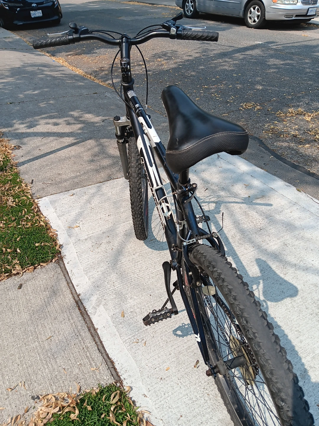 Schwinn Mongoose Mountain Bike
