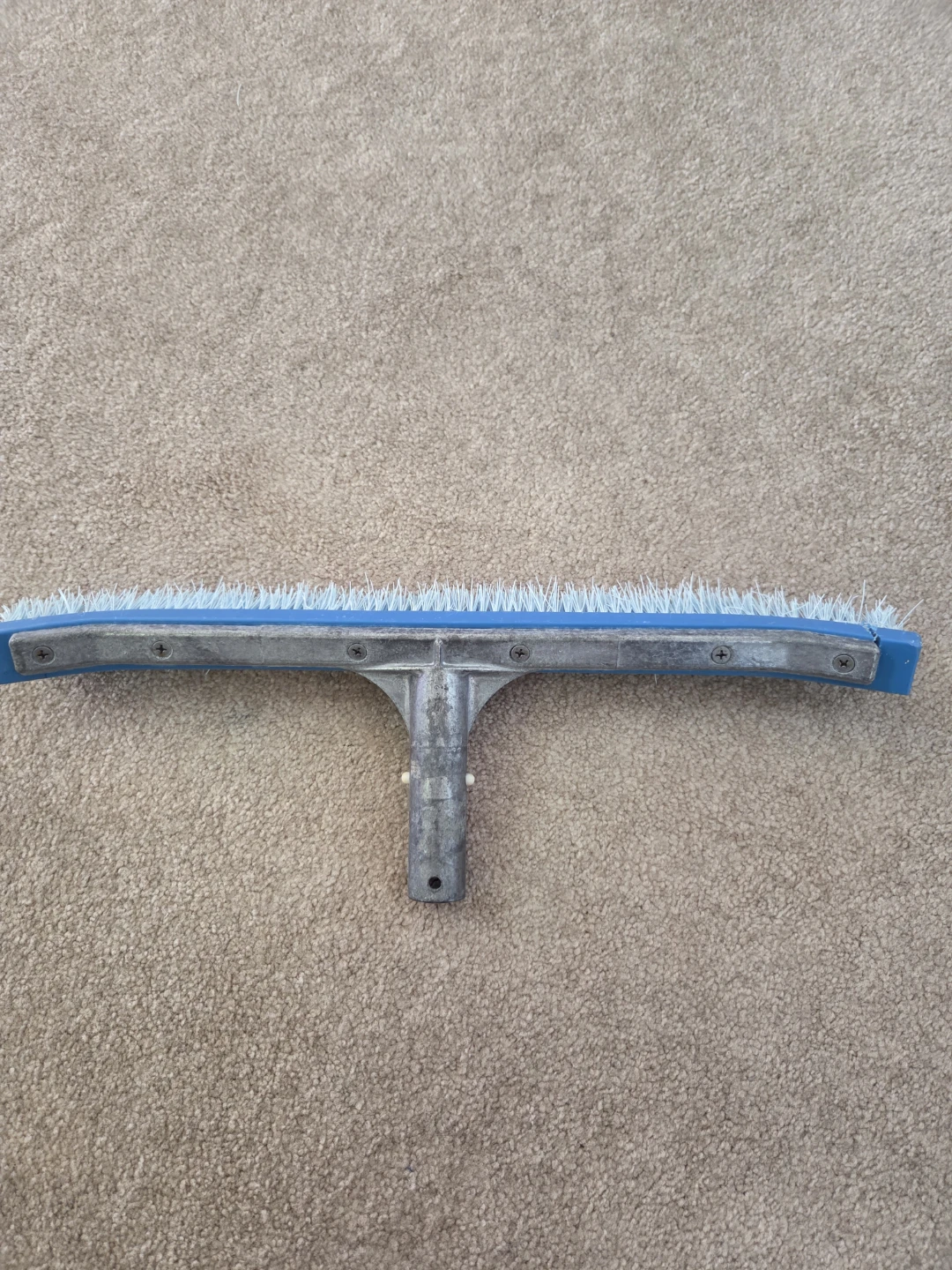 Blue Pool Brush Head