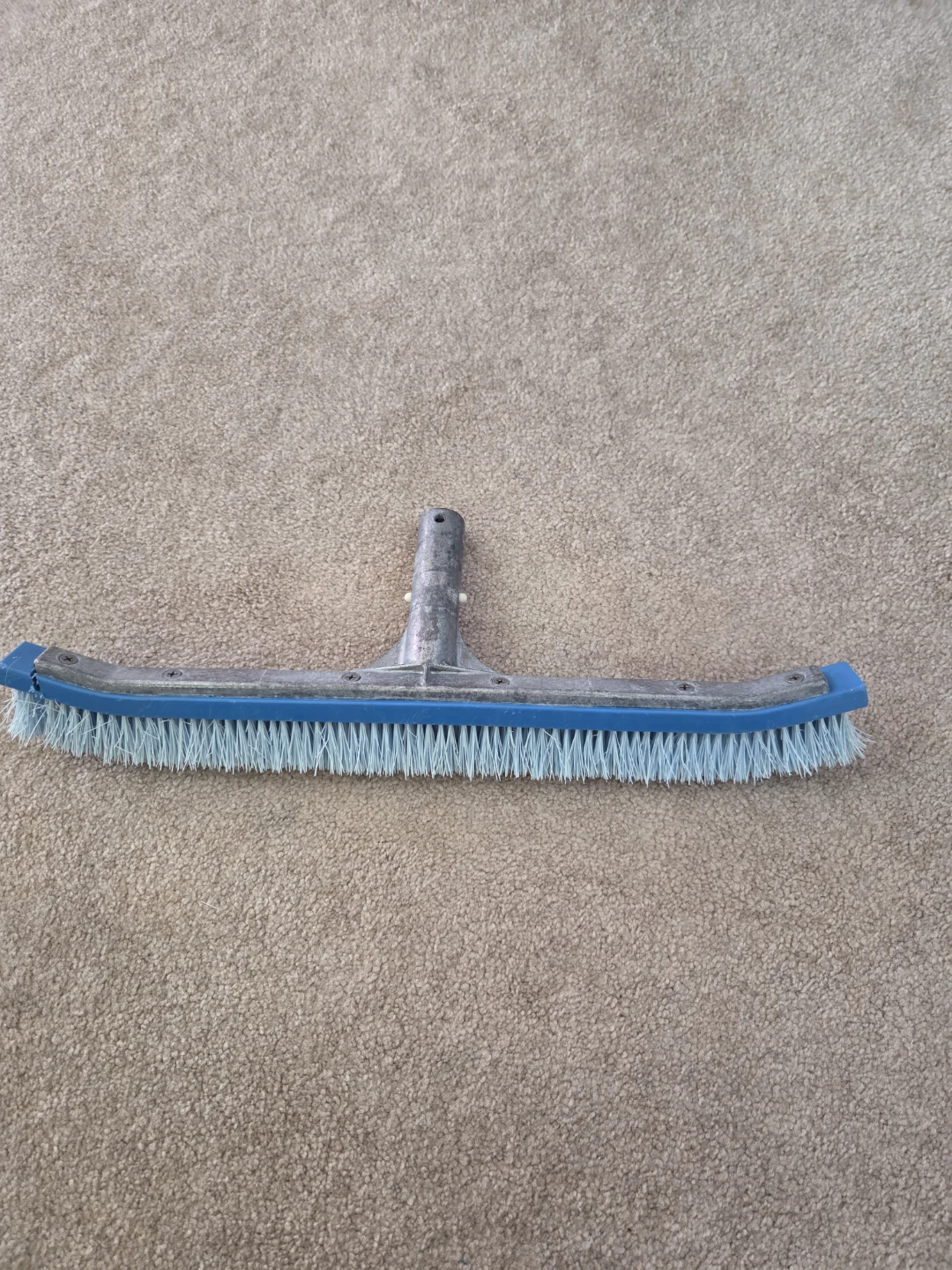 Blue Pool Brush Head - photo 3