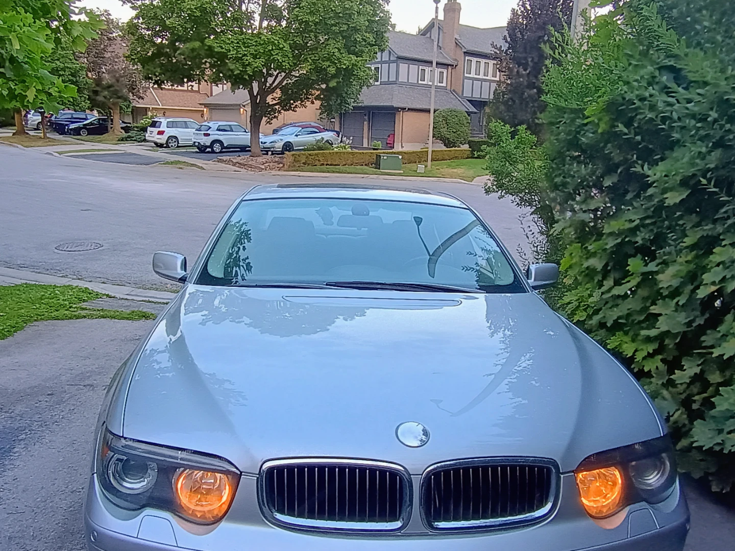 Silver BMW 745i Sedan-year 2003 - photo 2