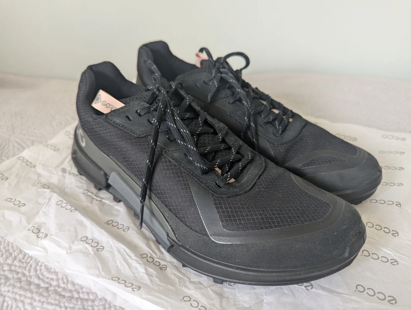Ecco Biom 2.1 x Country walking/running shoes