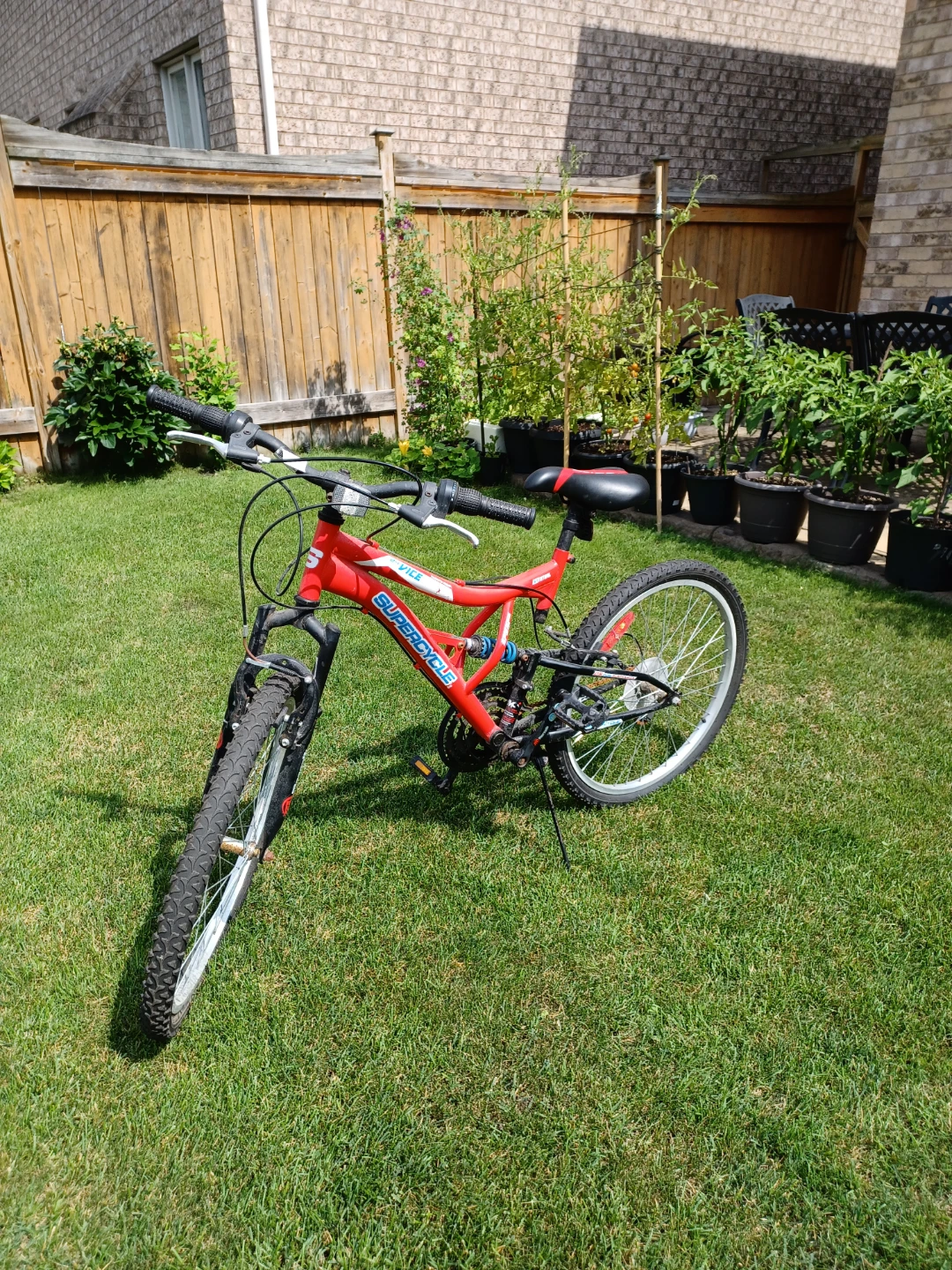 Red Supercycle Mountain Bike - photo 4