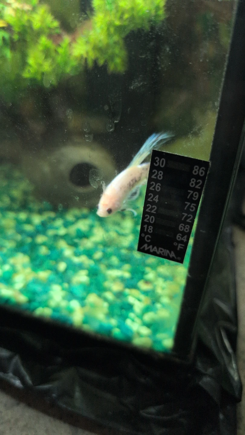 Marina Aquarium - photo 2