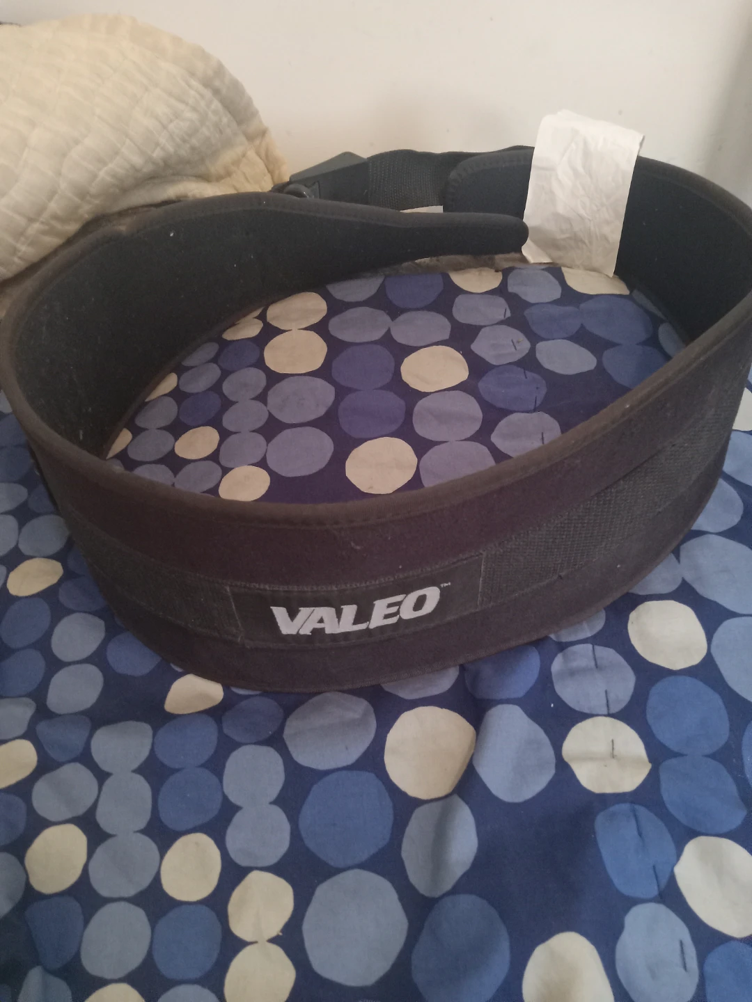 Valeo Weightlifting Belt
