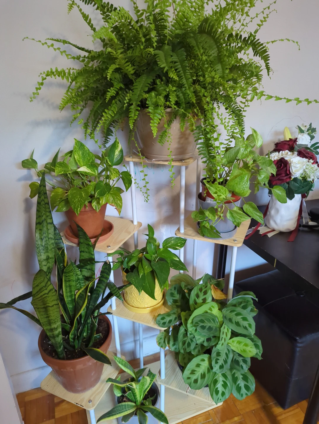 Wooden Plant Stand with  6Tiers