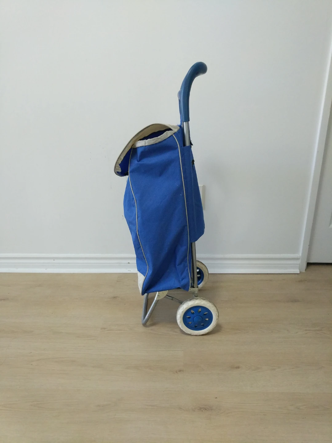 Rolling Shopping Cart