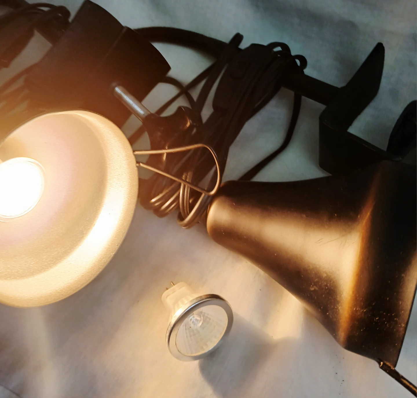 Clamp Desk Lamp with Gooseneck Light