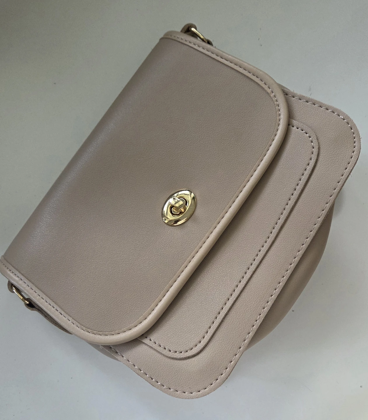 Purse/Slingbag
