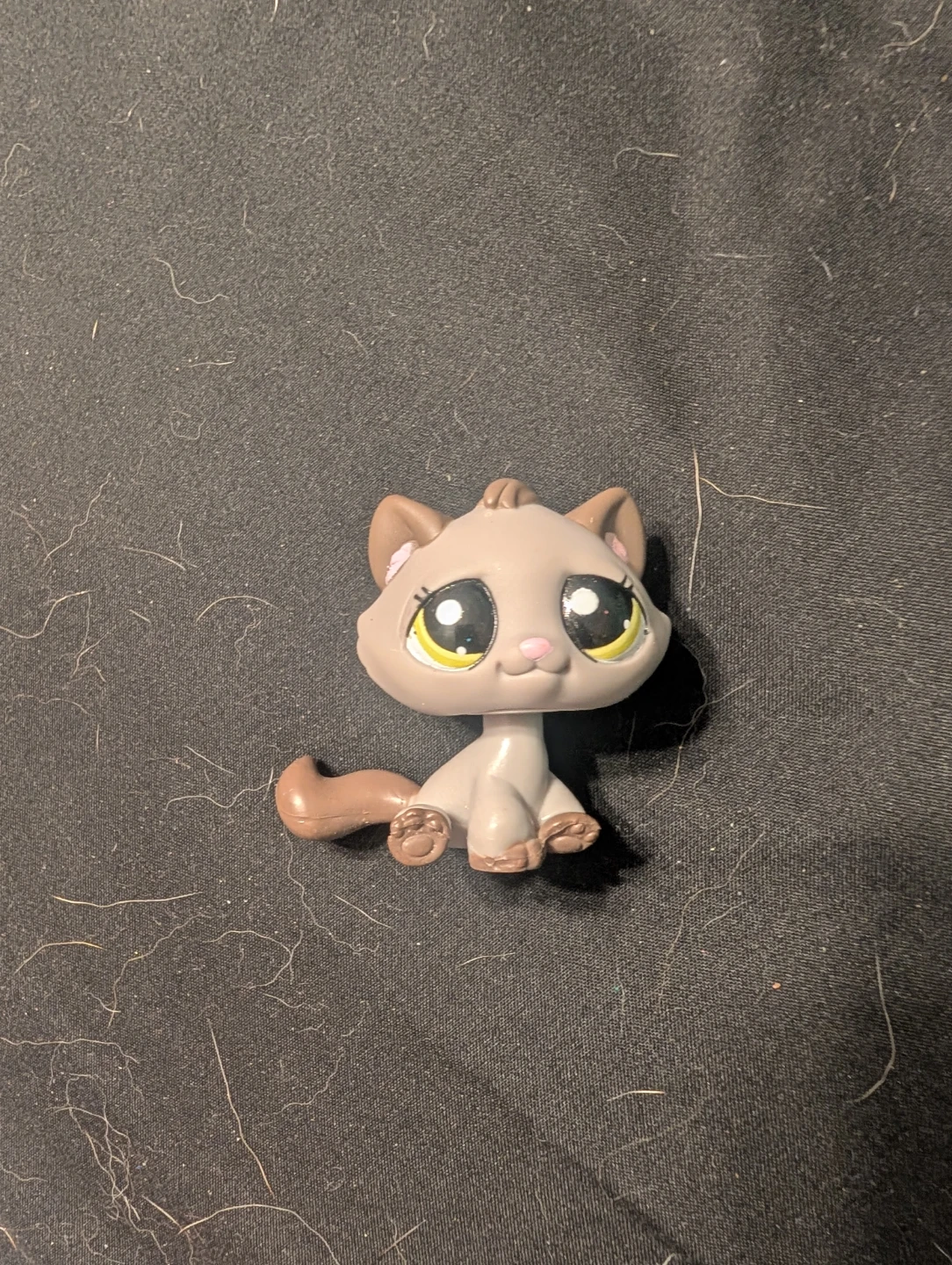 LPS #2215 Bon Bon Cat
