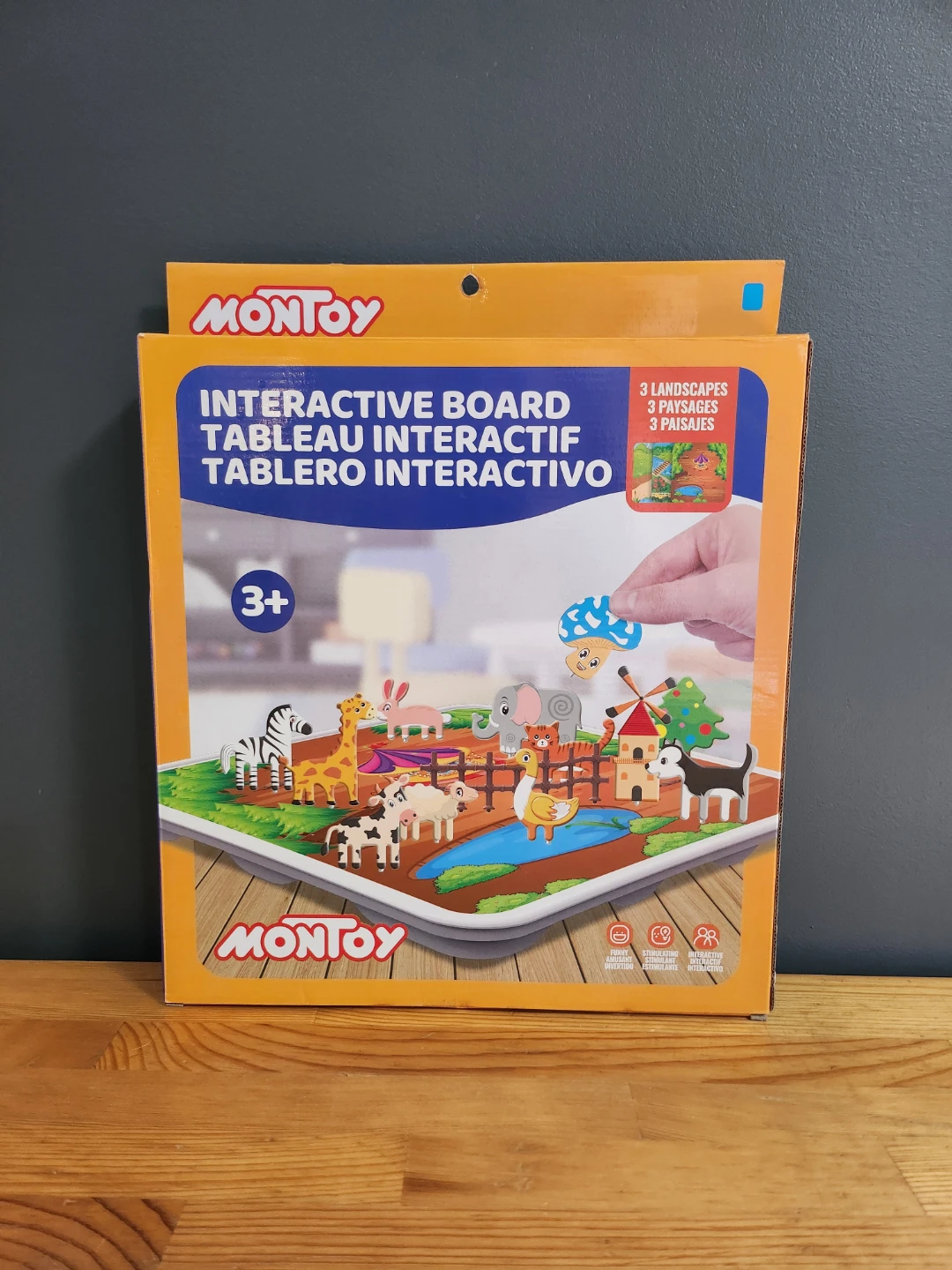Montoy Interactive Board
