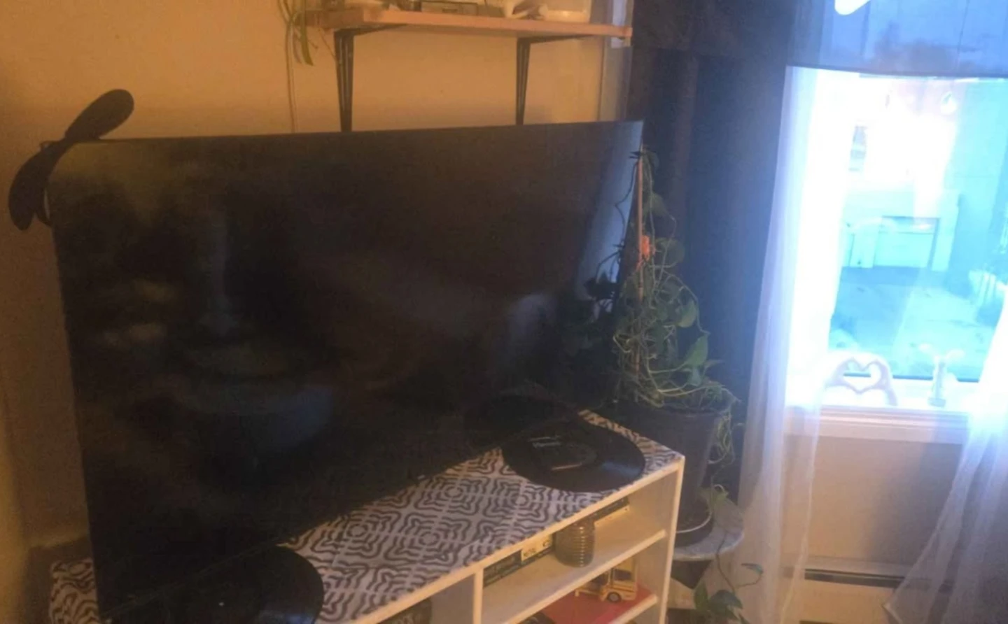 43" Flat Screen Roku TV