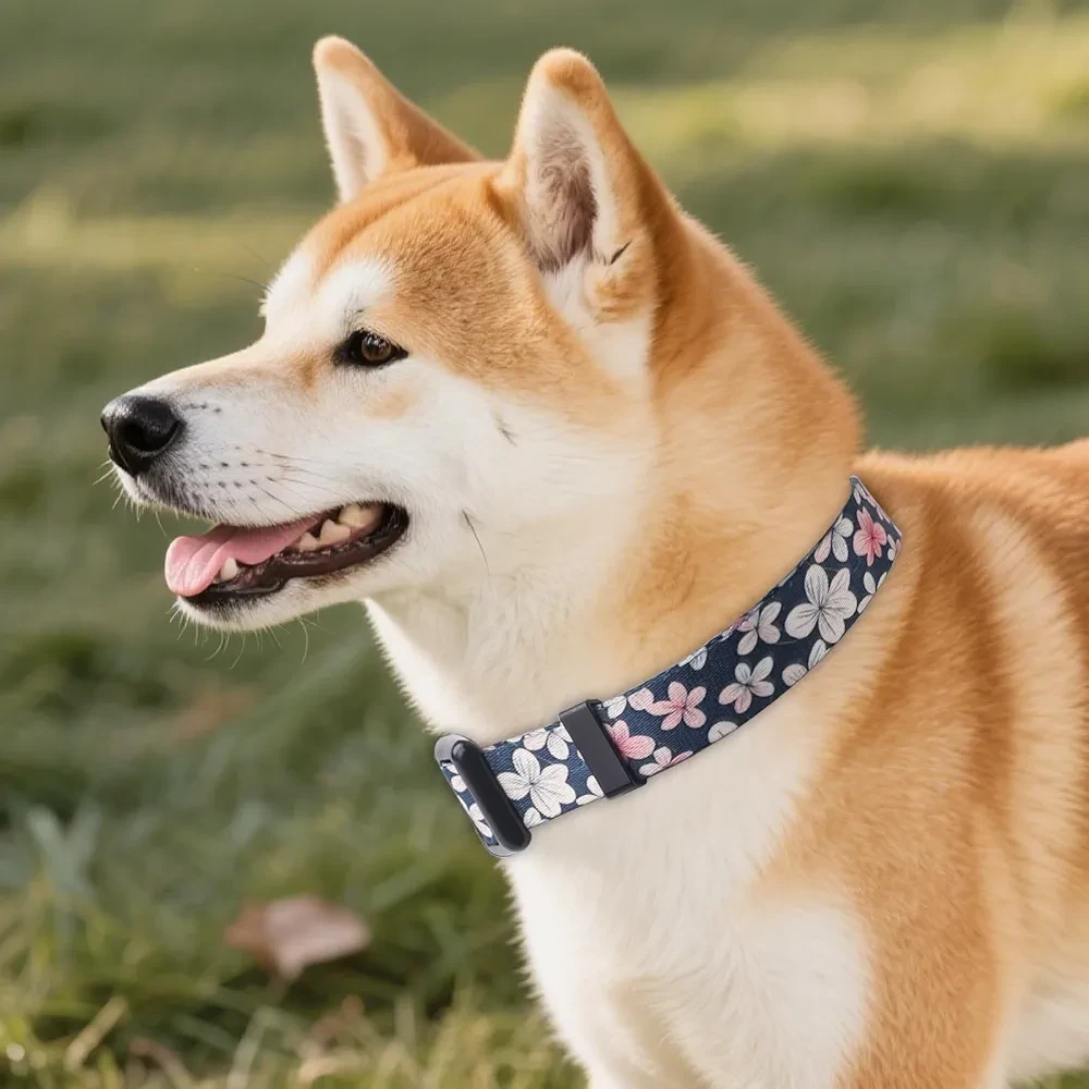 Dog Collar - Floral Pattern - Size S