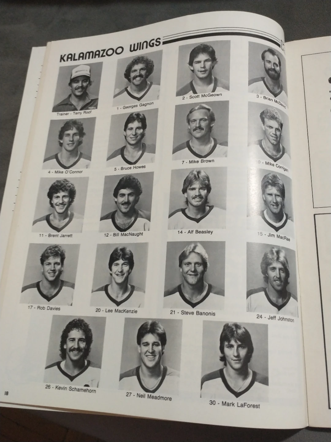 IHL Kalamazoo Wings 10th Anniversary Program vs Muskegon CV - photo 2