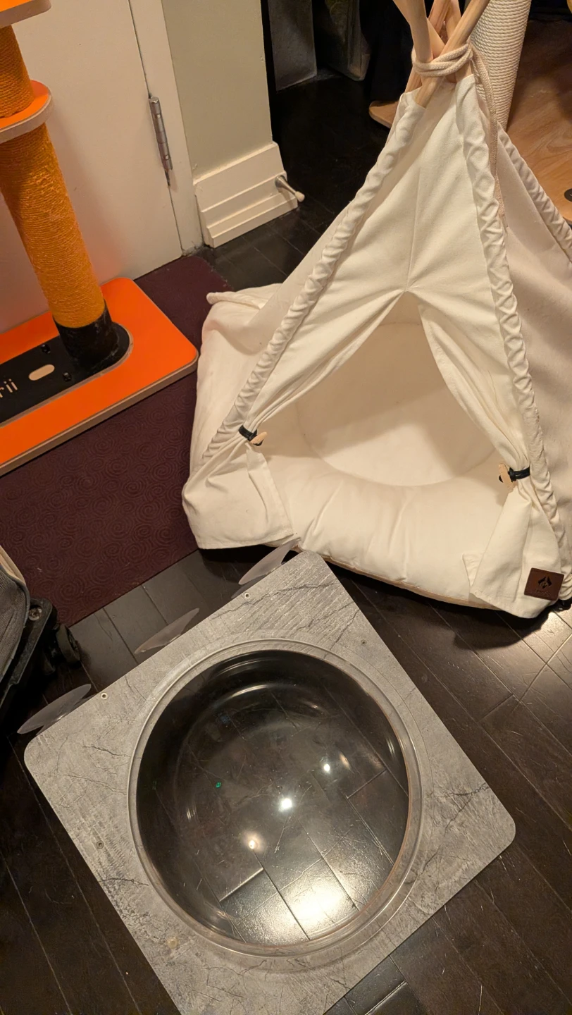 Cat Items: Posts, Large Carrier, TP Bed, Window Perch - photo 2