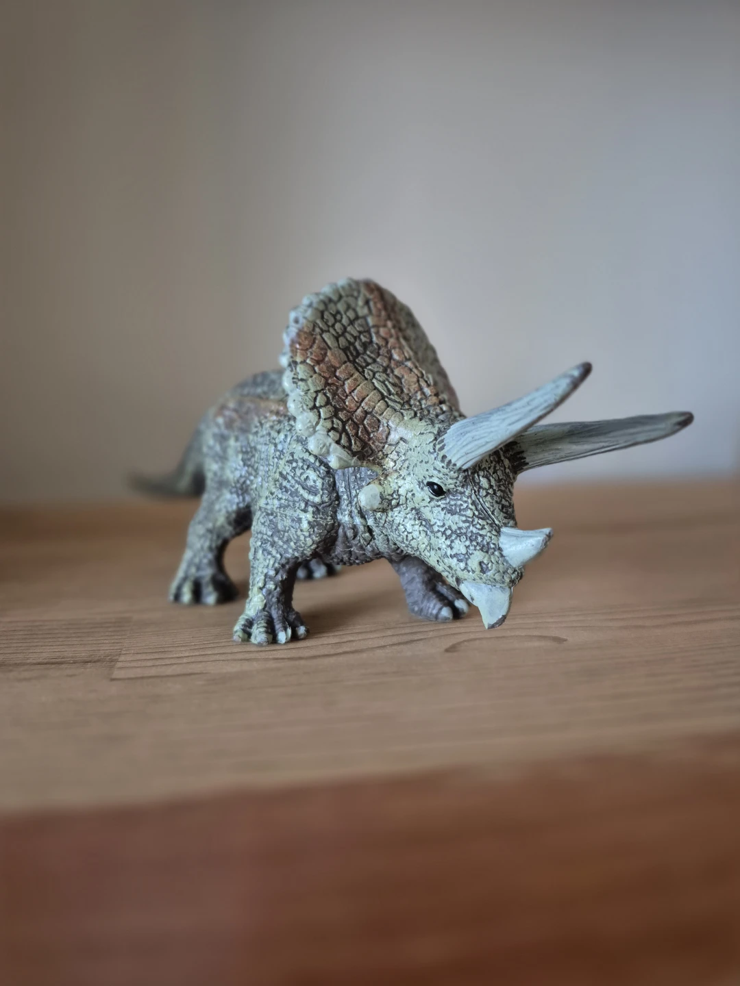 Dinosaur: Triceratops Seeks New Home