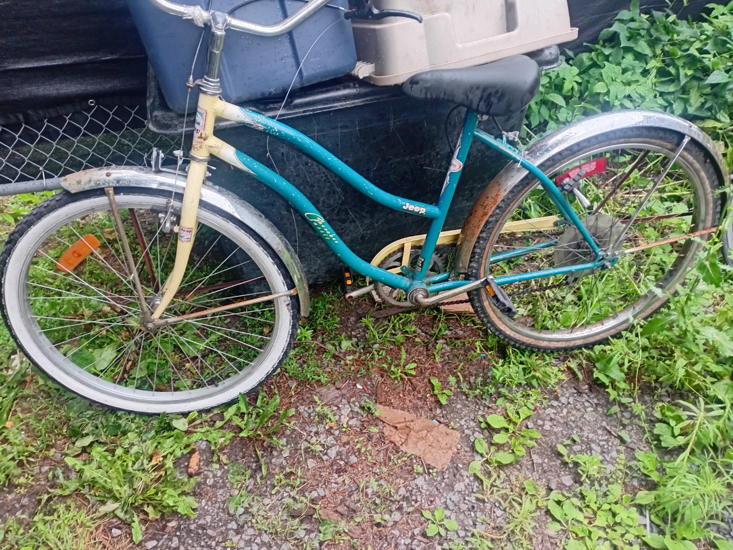 Jeep Women's Cruiser Bicycle