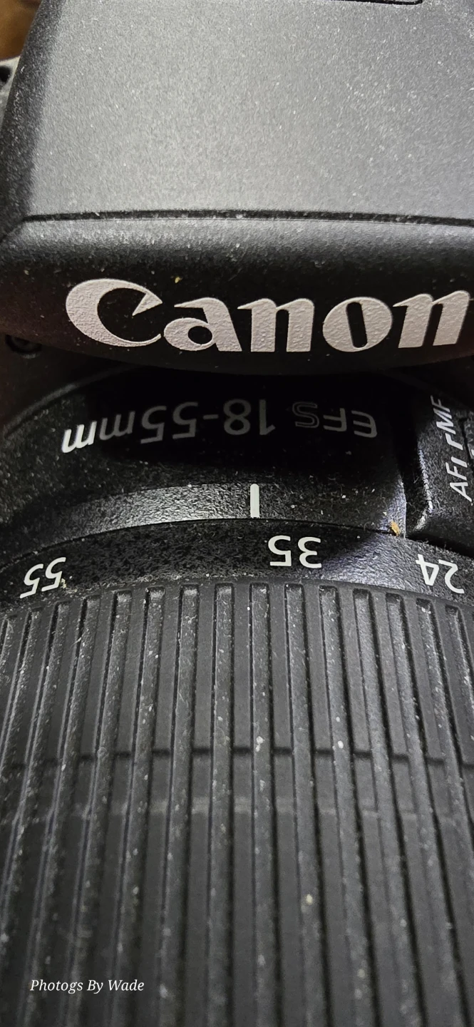 Canon EOS Rebel T7 DSLR Camera with 18-55mm Lens - photo 3