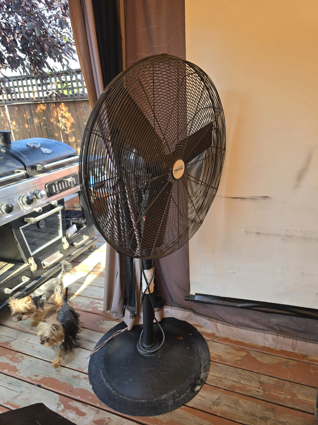 ProFlow 20-inch High Velocity Fan