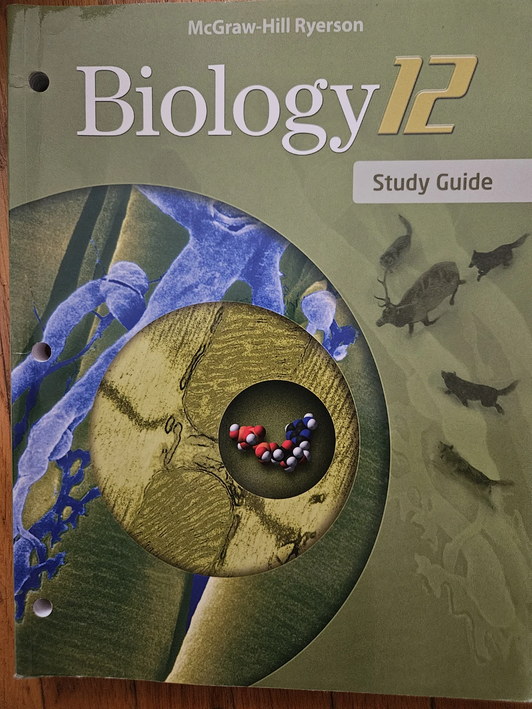 Textbook/ study guide - photo 3